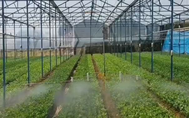 GIẢI PHÁP HỆ THỐNG BƠM BÁN TỰ ĐỘNG AMT