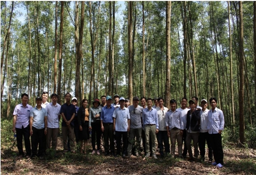 Mở rộng địa bàn dự án trồng rừng tại Khu bảo tồn Thiên nhiên Phong Điền, Thừa Thiên Huế