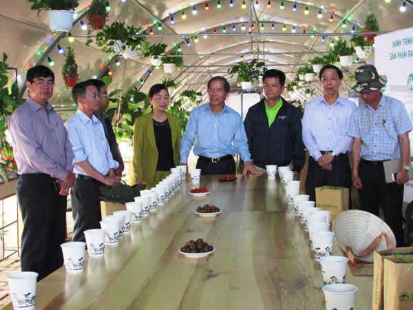 Triển khai Giải thưởng khoa học và công nghệ tỉnh Lâm Đồng lần thứ 2 