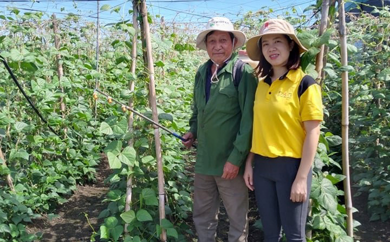 Tăng hiệu quả sản xuất trong nông nghiệp thâm canh