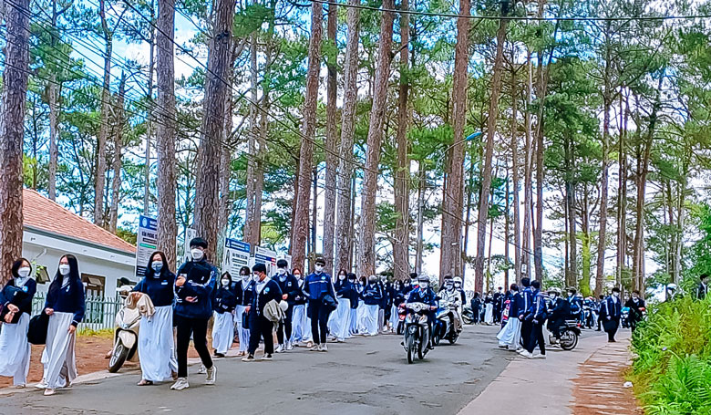Nghiên cứu ứng dụng khoa học công nghệ phát triển lâm nghiệp đô thị Đà Lạt