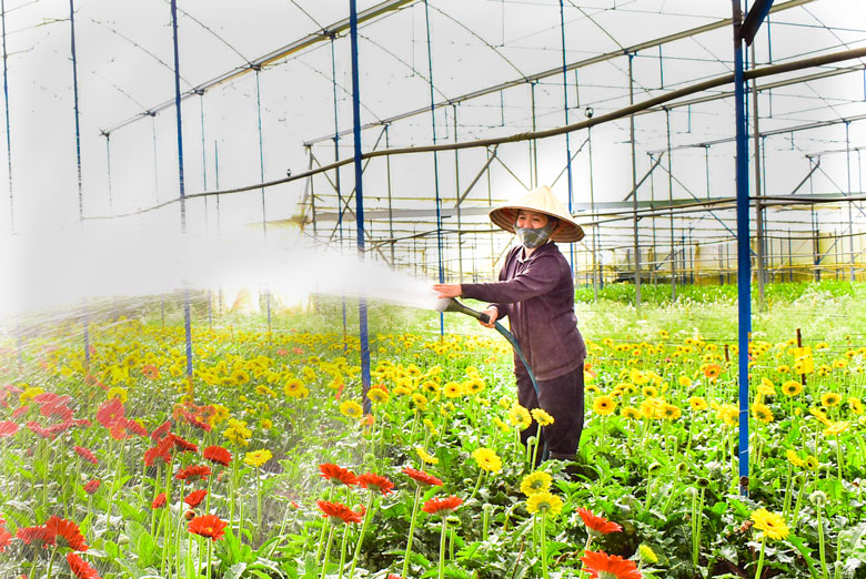 Đà Lạt: Đẩy mạnh chuyển giao khoa học - kỹ thuật cho nông dân