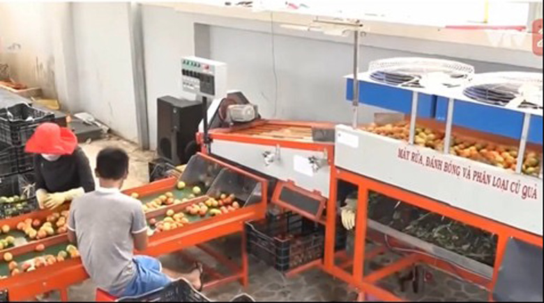7 công trình, giải pháp khoa học được công bố trong Sách vàng Sáng tạo Việt Nam